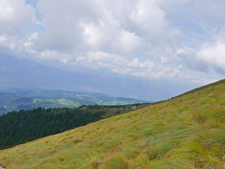 vallata verde nelle dolomiti in estate