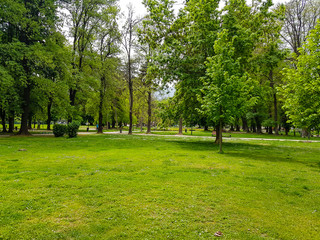 Green grass field in big city park