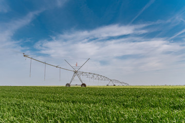 Fototapeta na wymiar Large irrigation systems water fields with young plants