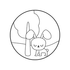 cute rabbit animal in landscape
