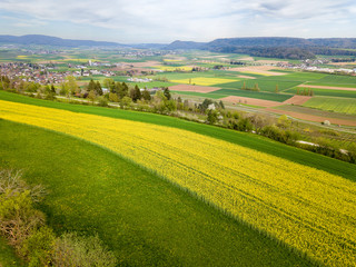 Aerial view of contryside with rape field patches and stripes