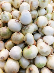 White onion, fresh natural and healthy