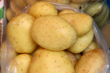young potatoes in a sack on the market. pile of fresh potatoes