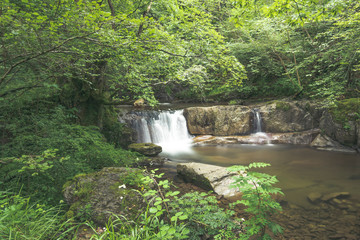 waterfall in the forest