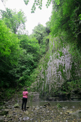 Fototapeta premium waterfall in the forest