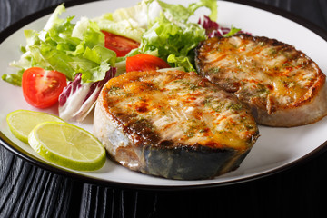 fried sturgeon steaks served with fresh vegetable salad close-up on a plate. horizontal