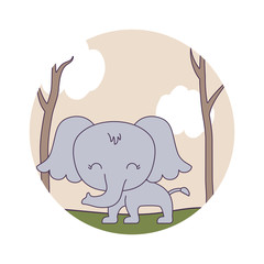 cute elephant animal in forest