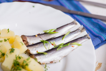 Small fish of sprat with spices  on the plate with boiled potatoes