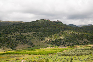 Fototapeta na wymiar View of Nimrod Fortress with a flowering