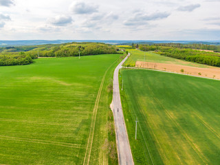 Fototapeta na wymiar Aerial view of agriculture fields, meadow and road inside. Rural scene of countryside. Fresh green colors, look to above tree. Day on spring after rain