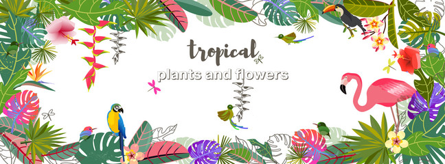 Tropical flowers leaves. Exotic monster leaf. Caribbean colors. Design pattern