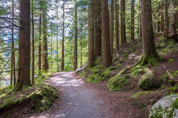 View at Trail in Park. Rice Lake. Vancouver. Canada.