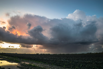 Naklejka na ściany i meble A wintry shower moves over the wide open dutch landscape in the western part of the country at sunset