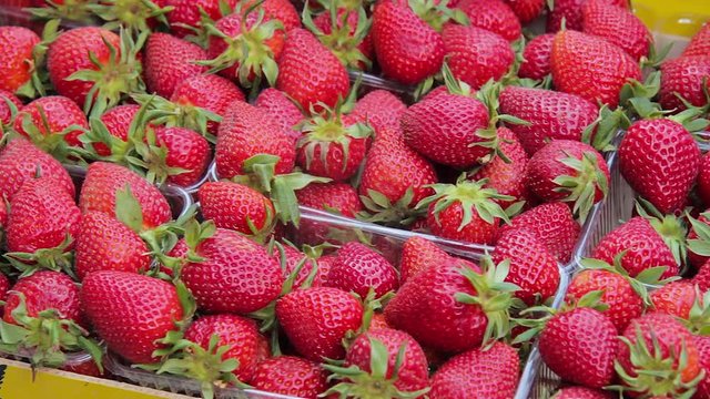 Images of freshly picked strawberries.