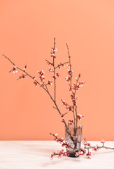 Vase with beautiful blossoming branches on table © Pixel-Shot