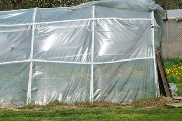 Szklarnia przydomowa © klumb