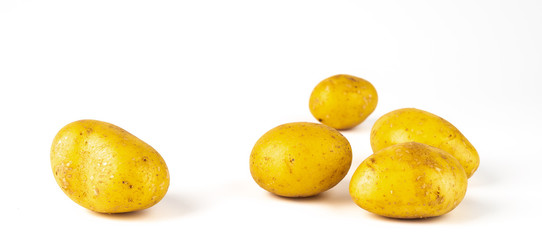 Isolated potatoes. Organic Whole potato, close-up, isolated on white background