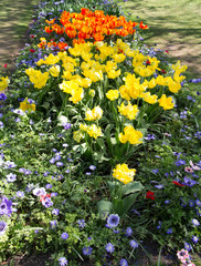 Flower park Keukenhof in Holland