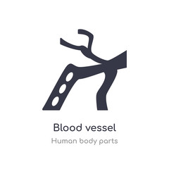 blood vessel outline icon. isolated line vector illustration from human body parts collection. editable thin stroke blood vessel icon on white background