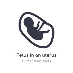 fetus in an uterus outline icon. isolated line vector illustration from human body parts collection. editable thin stroke fetus in an uterus icon on white background