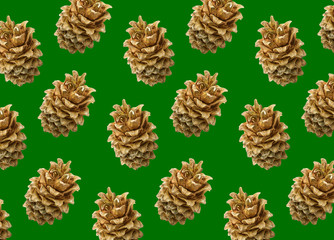 Colorful pattern of cones of spruce. Green background