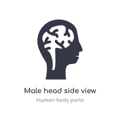 male head side view with brains outline icon. isolated line vector illustration from human body parts collection. editable thin stroke male head side view with brains icon on white background