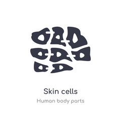 skin cells outline icon. isolated line vector illustration from human body parts collection. editable thin stroke skin cells icon on white background