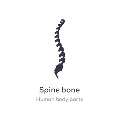 spine bone outline icon. isolated line vector illustration from human body parts collection. editable thin stroke spine bone icon on white background