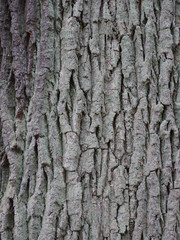 Natur