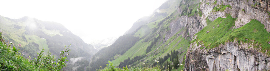 Fototapeta premium Panorama of mountain scenery with green meadows and snow-capped mountains in the Alps.