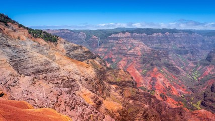 Sunny Waimea Canyon Scenic View