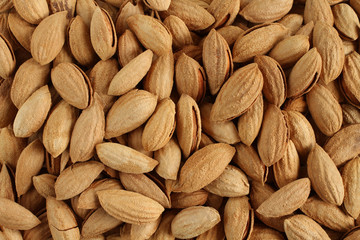 Top view of a pile of lightly roasted almonds with shells
