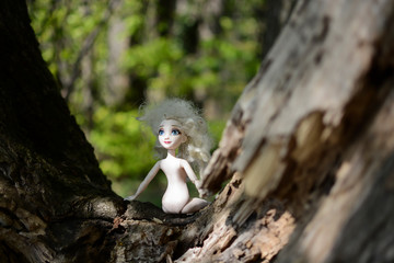 a child doll with white hair, blue eyes and no clothes left on a tree in a green forest. Metaphor for ritual rituals. Witches and fairies. Forest fairy.