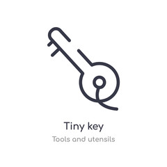 tiny key outline icon. isolated line vector illustration from tools and utensils collection. editable thin stroke tiny key icon on white background