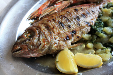 Langoustines grilled and red mullet,  sea bass grilled with lemon, potato and Mangel with olive oil.