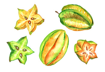 Carambola or Starfruit are whole fruits and slices, a set of tropical fruits, watercolor painting on a white background isolated with clipping path.