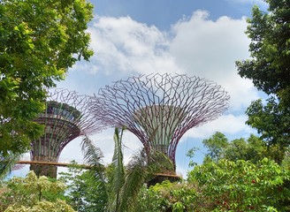 Supertrees 