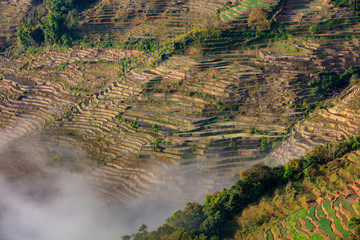 Samaba Rice Terrace Fields in Honghe County - Baohua township, Yunnan Province China. Sama Dam Multi-Color Terraces - grass, mud construction layered terraces filled with water. Hani and Yi Culture