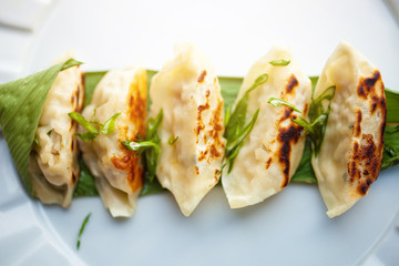 Freshly cooked dumplings on a plate