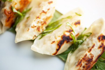 Freshly cooked dumplings on a plate