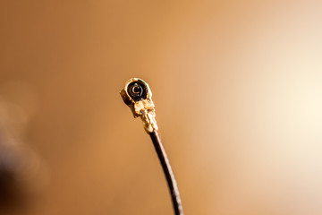 Very small mobile phone coaxial cable and connector