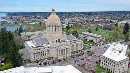Obraz premium Spring Cherry Blossoms at the State Capital Building in Olympia Washington