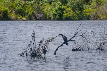 Koggala lake in Galle District, Southern Sri Lanka