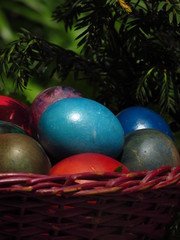 Color Easter eggs