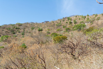 cerro de la vieja