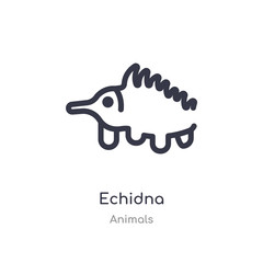 echidna outline icon. isolated line vector illustration from animals collection. editable thin stroke echidna icon on white background