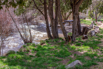 Scenic Northern New Mexico Forests