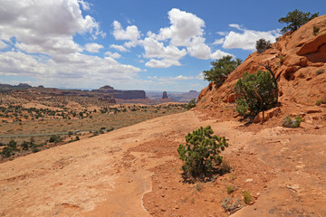 The view of Upheaval Dome Road from the Whale Rock in Canyonlands National Park, Utah.