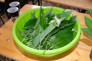 frischer Bärlauch in einer Schüssel