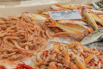 shrimps on ice in a fish market